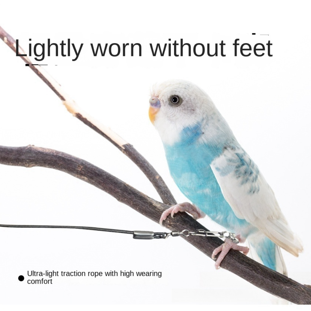 Anklet Foot Chain - Elastic Parrot Traction Rope Metal Buckle
