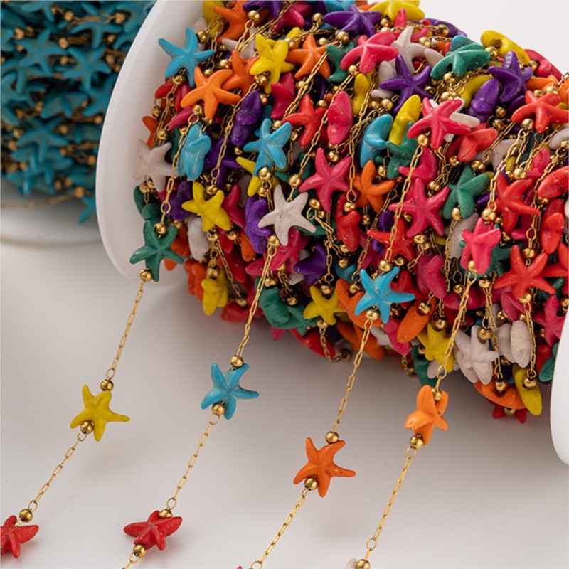 1Meter Stainless Steel Starfis - Anklet Foot Chain recensie en prijs