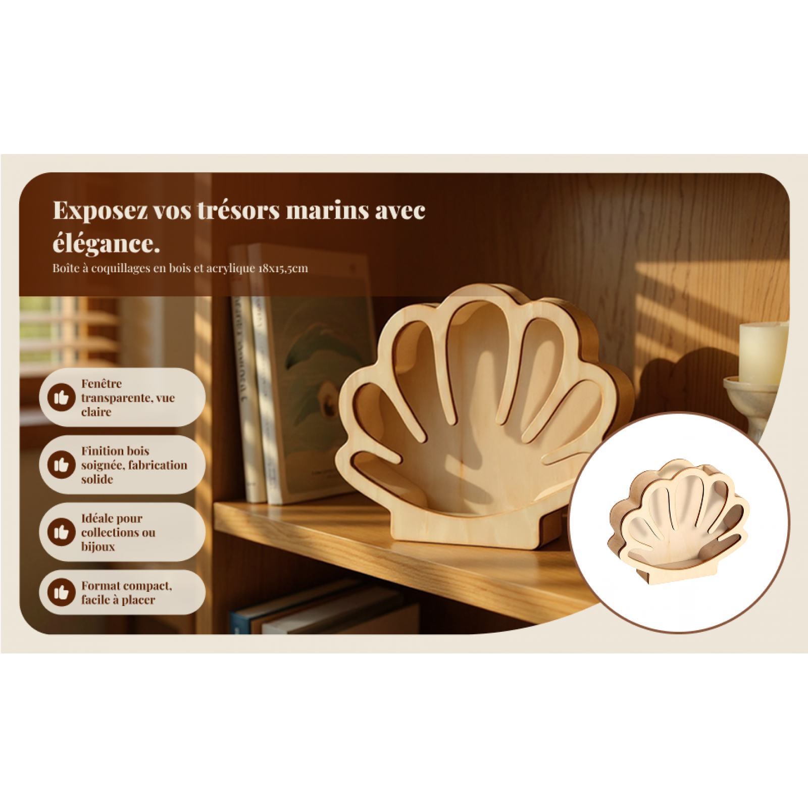Wooden Shell Display Box Colle - Collectors Coins Jewelry & Watches Of Smithtown Reviews recensie en prijs