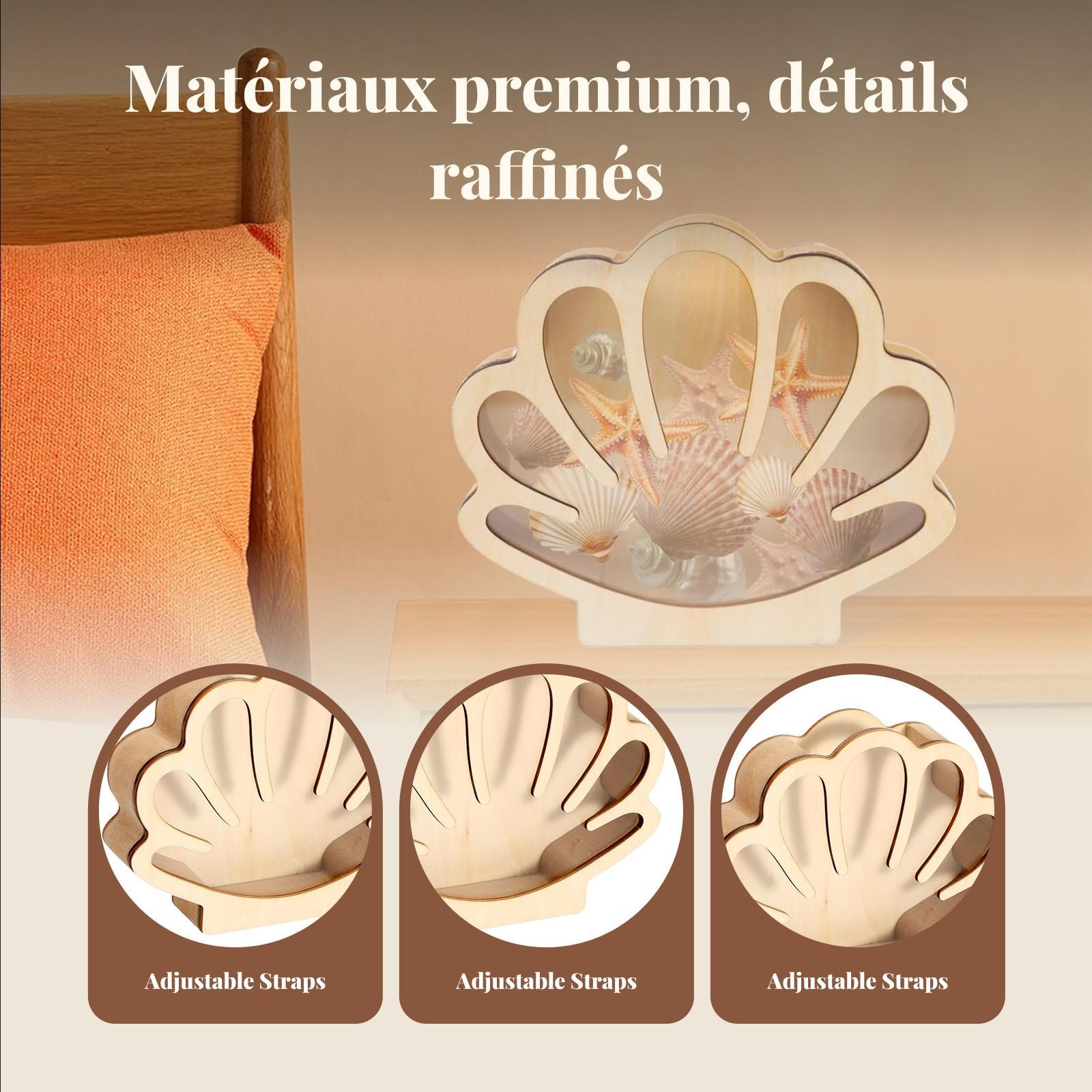 Wooden Shell Display Box Colle - Collectors Coins Jewelry & Watches Of Smithtown Reviews recensie en prijs