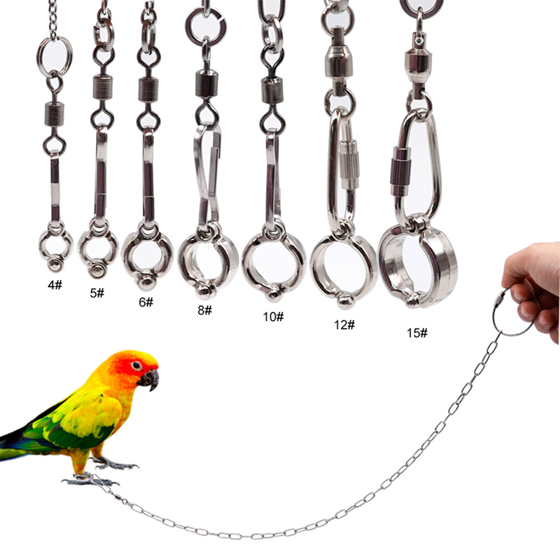 Stainless Steel Parrot Leg Rin - Anklet Foot Chain recensie en prijs
