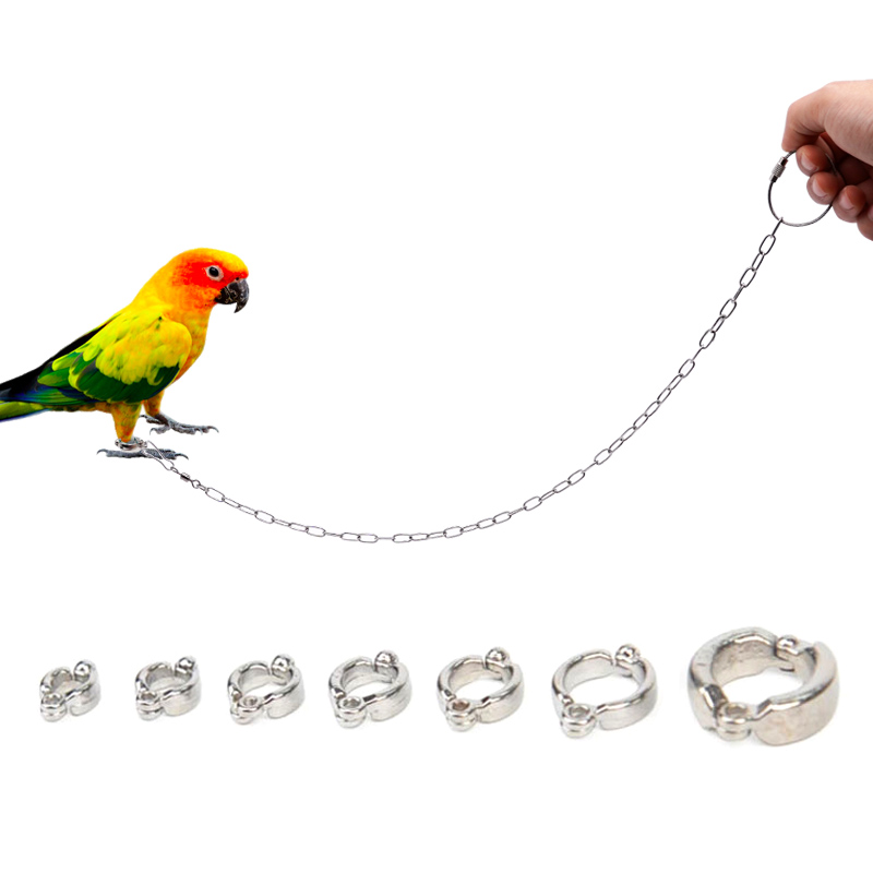 Stainless Steel Parrot Leg Rin - Anklet Foot Chain recensie en prijs