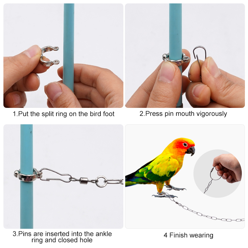 Stainless Steel Parrot Leg Rin - Anklet Foot Chain recensie en prijs