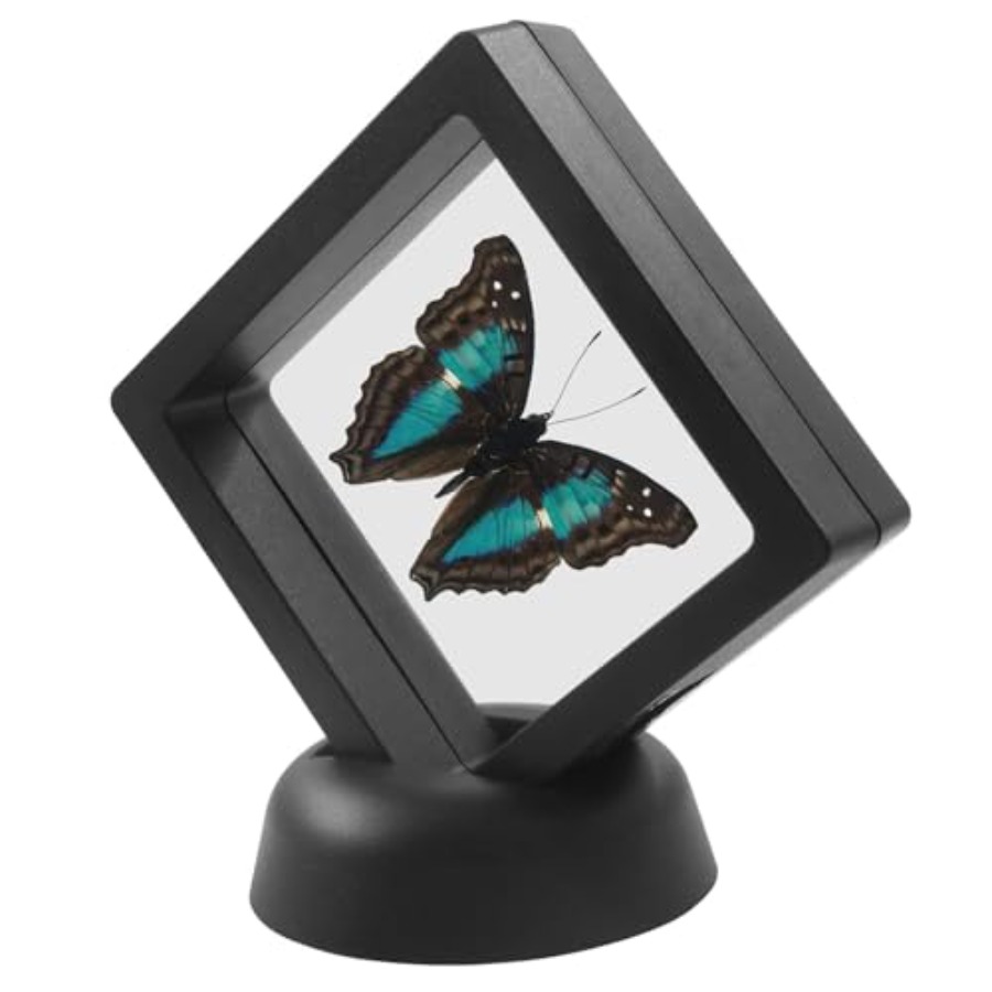 12Pcs 3D Floating Display Case - Collectors Coins Jewelry & Watches Of Smithtown Reviews recensie en prijs
