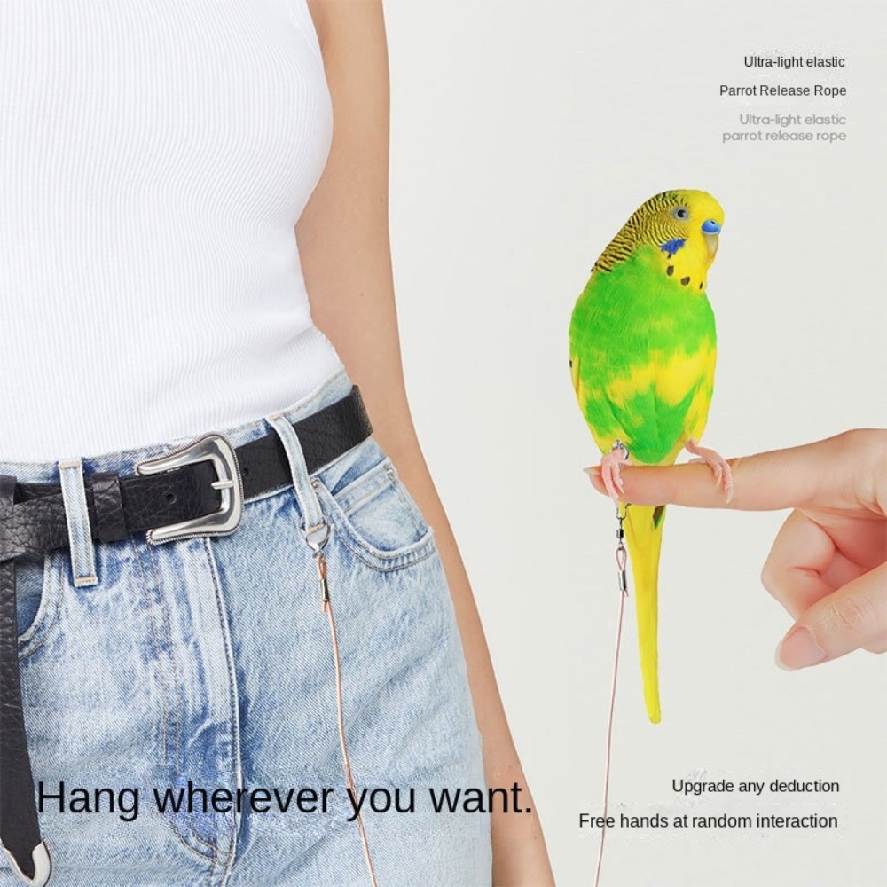 Elastic Parrot Traction Rope M - Anklet Foot Chain recensie en prijs