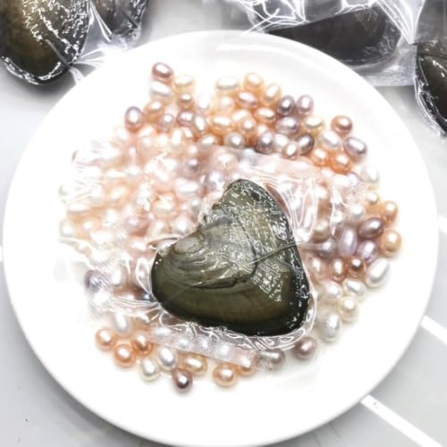 Quality Assurance Wish Pearl N - Jewelry & Watches Spółka Z Ograniczoną Odpowiedzialnością recensie en prijs