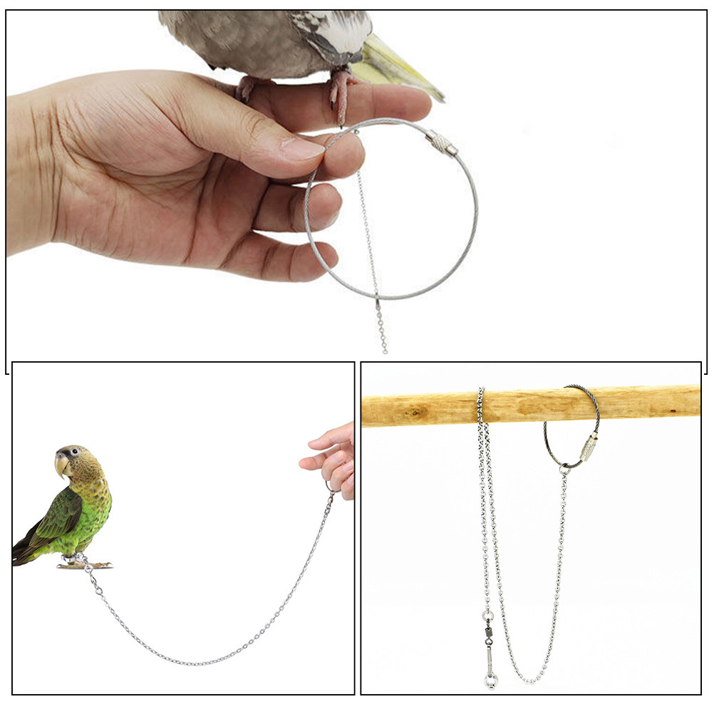 Adjustable Stainless Steel Par - Anklet Foot Chain recensie en prijs